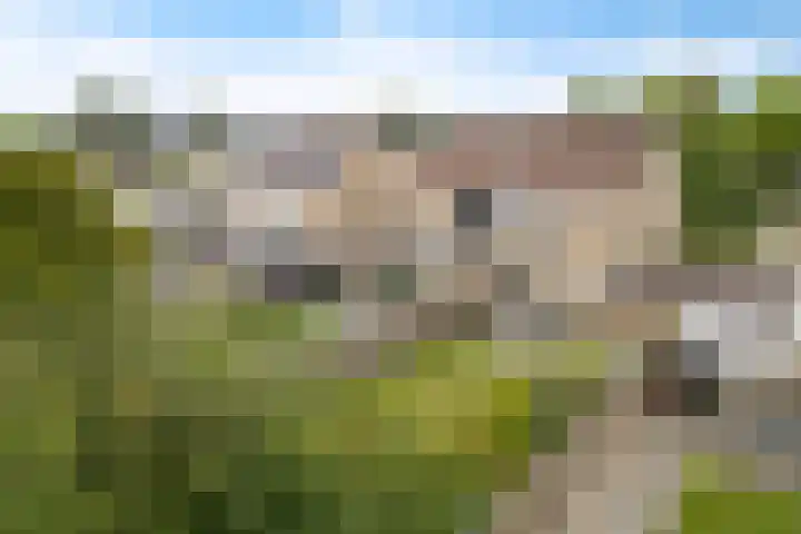Birdielaan 87 in Lelystad