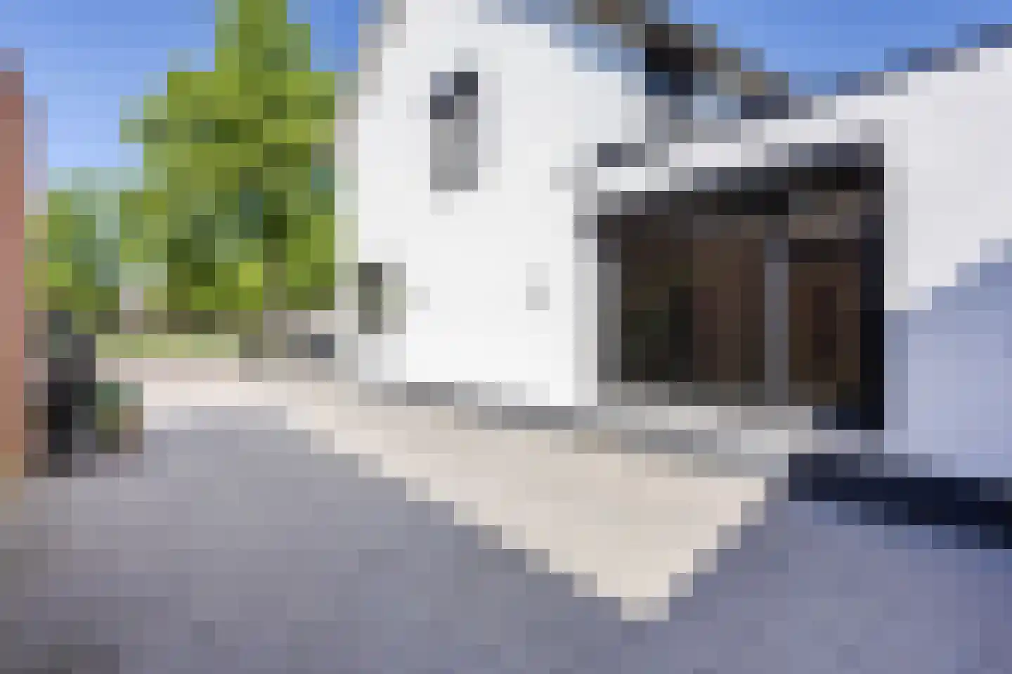Birgittinessenstraat 12 Uden thumbnail 12