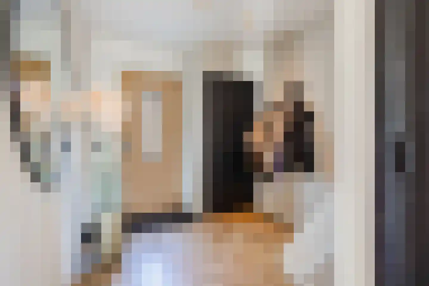 Birgittinessenstraat 12 Uden thumbnail 13