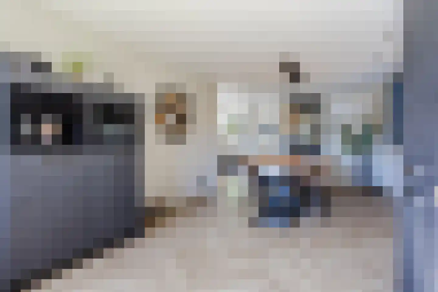 Birgittinessenstraat 12 Uden thumbnail 20