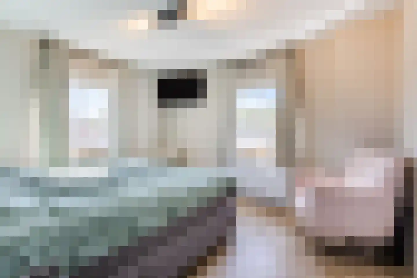 Birgittinessenstraat 12 Uden thumbnail 28