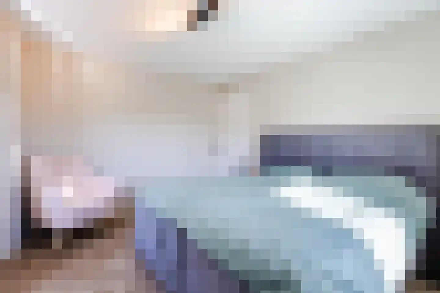 Birgittinessenstraat 12 Uden thumbnail 29
