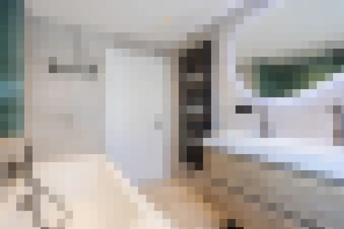 Birgittinessenstraat 12 Uden thumbnail 34