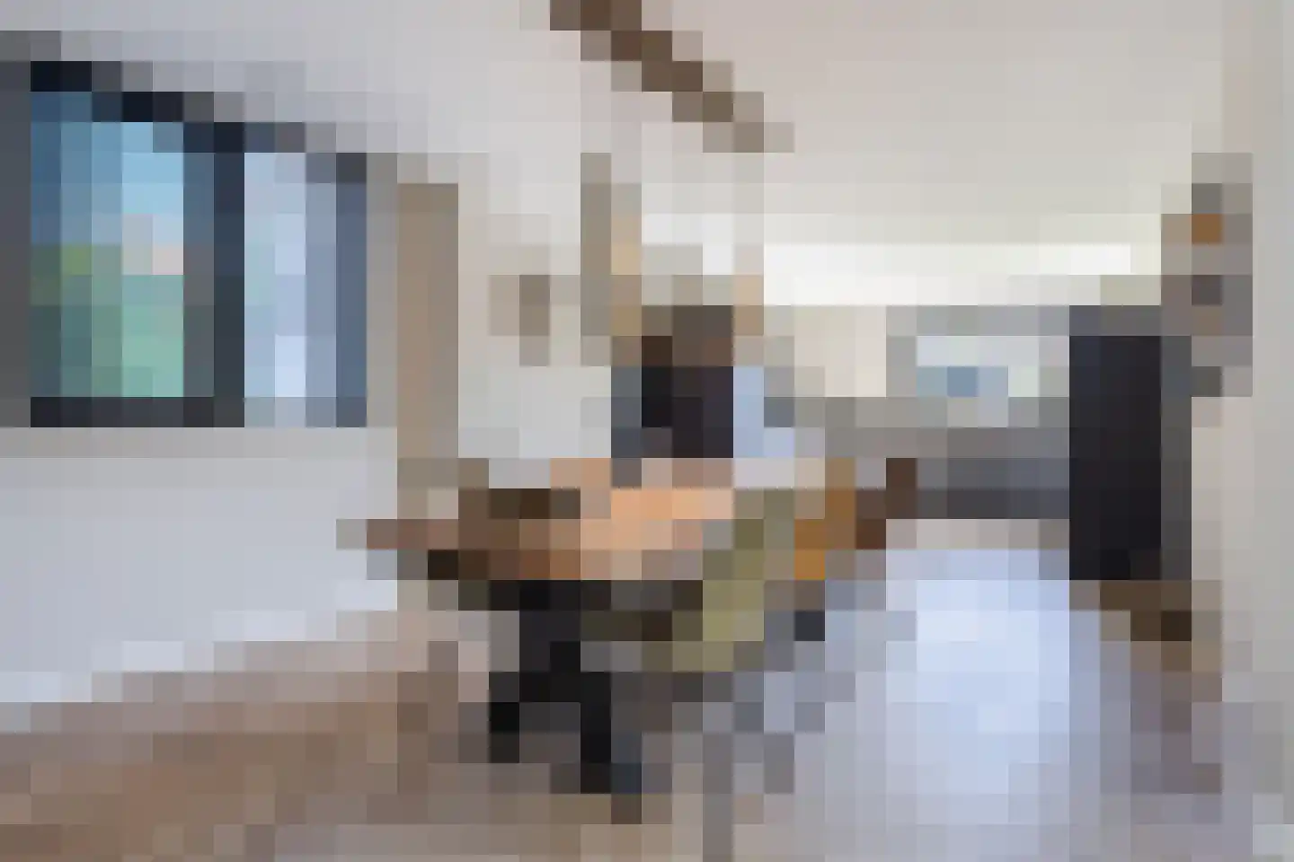Birgittinessenstraat 12 Uden thumbnail 4