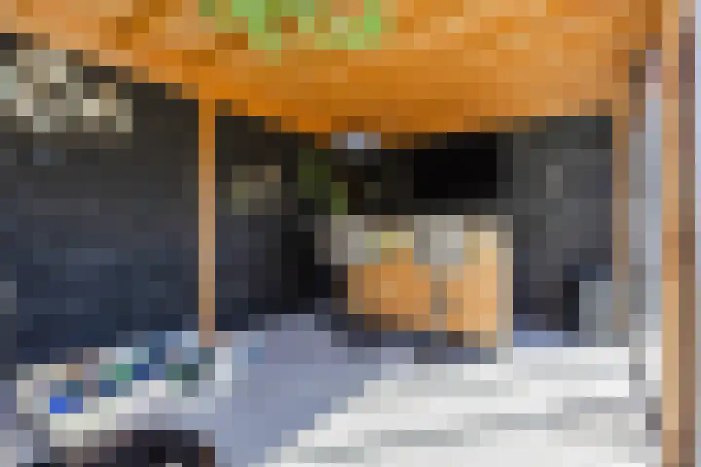 Birgittinessenstraat 12 Uden thumbnail 40