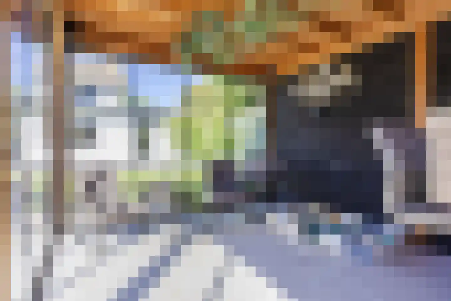 Birgittinessenstraat 12 Uden thumbnail 41