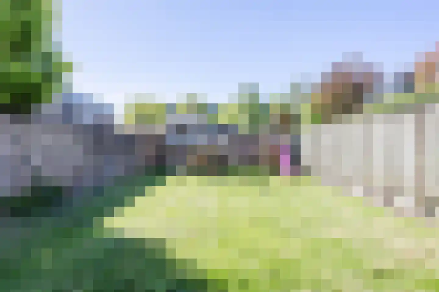Birgittinessenstraat 12 Uden thumbnail 7