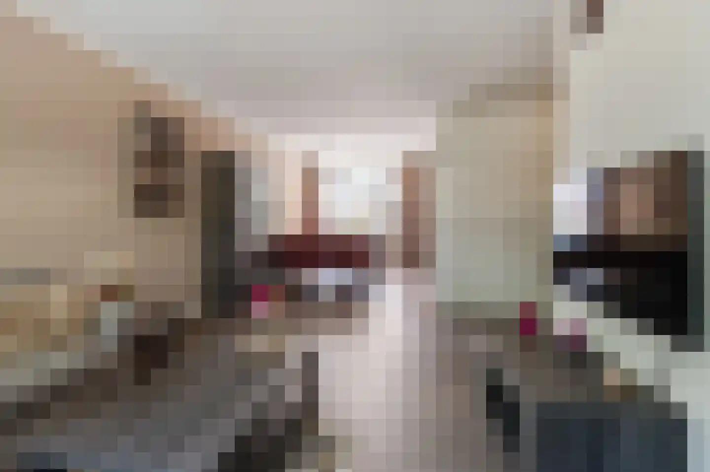 Birkastraat 19 Wijk bij Duurstede thumbnail 6