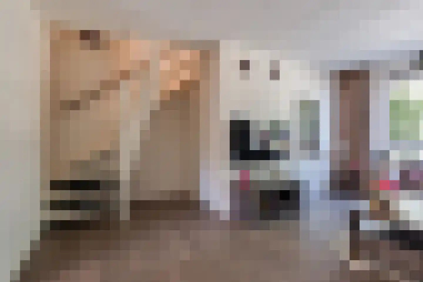 Birkastraat 19 Wijk bij Duurstede thumbnail 9