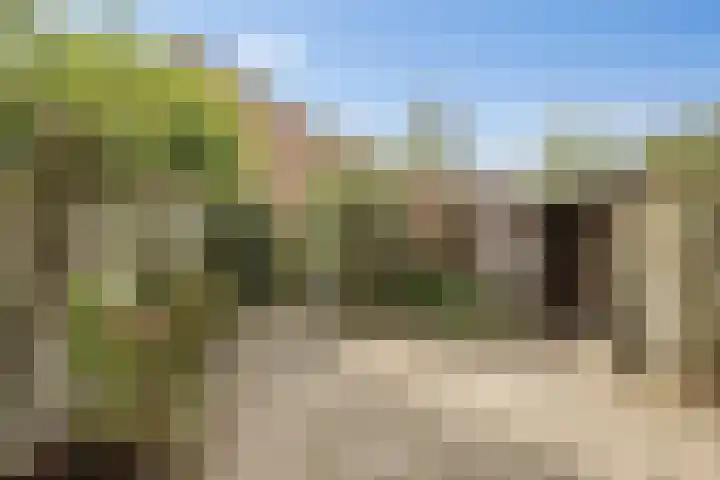 Birkastraat 2 Wijk bij Duurstede thumbnail 18