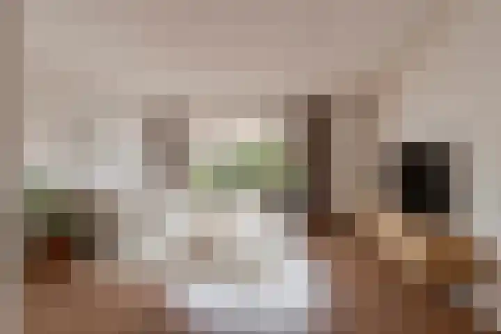 Birkastraat 2 Wijk bij Duurstede thumbnail 7