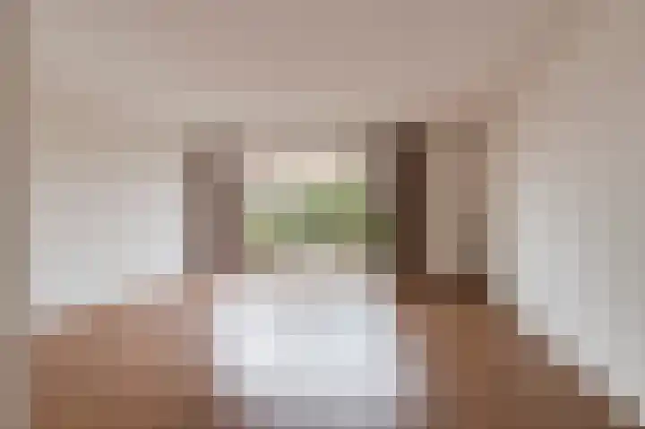 Birkastraat 2 Wijk bij Duurstede thumbnail 8