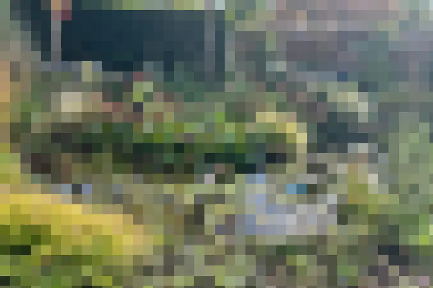Birkenheuvelweg 23 Hilversum thumbnail 29