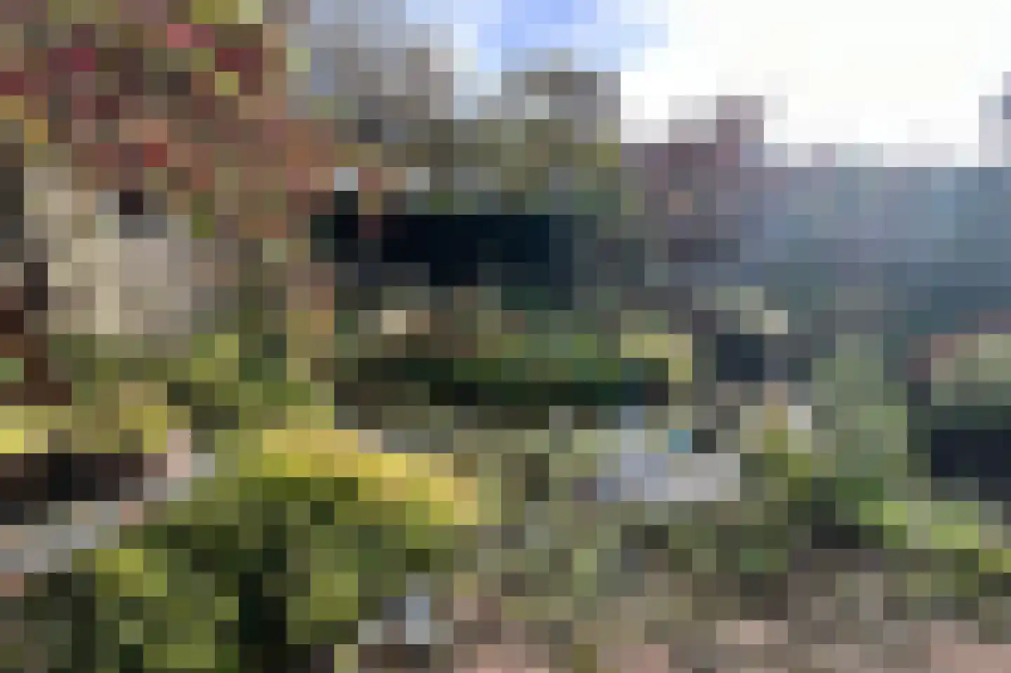 Birkenheuvelweg 23 Hilversum thumbnail 30