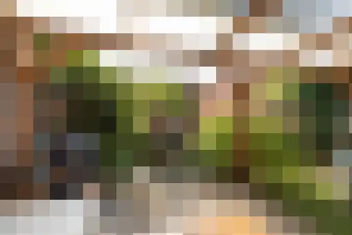 Birkenheuvelweg 37 Hilversum thumbnail 20