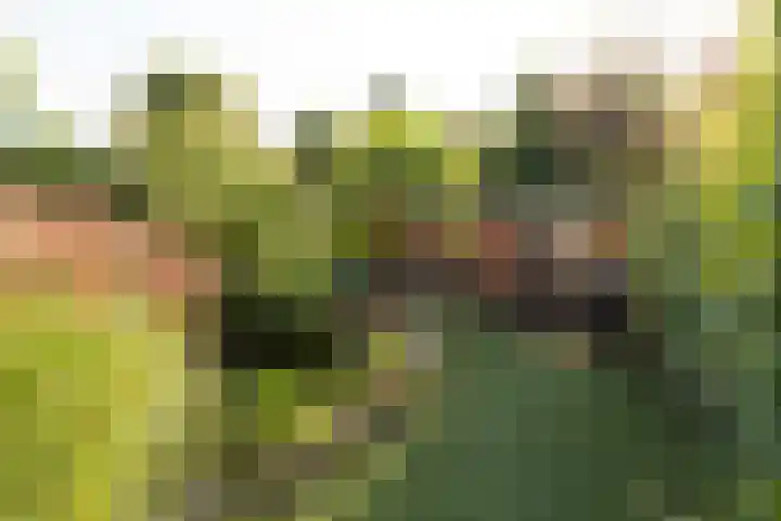 Birkenheuvelweg 37 Hilversum thumbnail 21