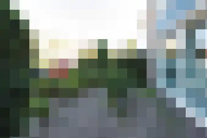Birkenheuvelweg 37 Hilversum thumbnail 26