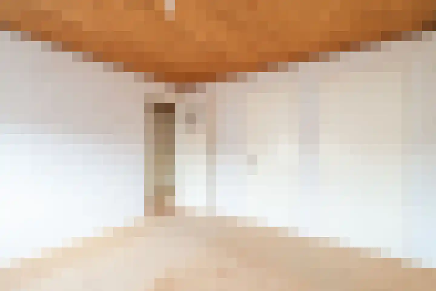 Birkenhof 16 Nijkerkerveen thumbnail 18