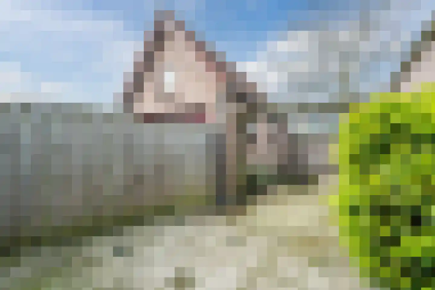 Birkenhof 16 Nijkerkerveen thumbnail 35