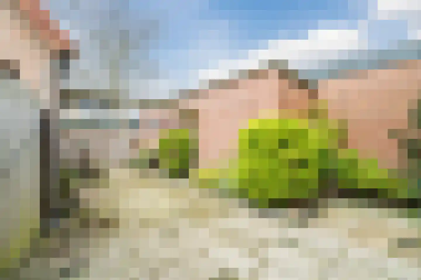 Birkenhof 16 Nijkerkerveen thumbnail 36
