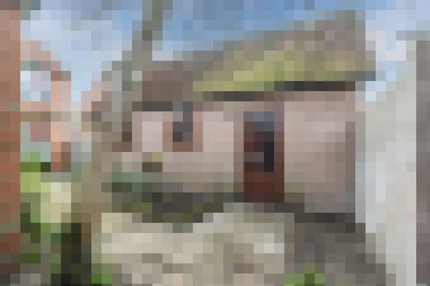 Birkenhof 16 Nijkerkerveen thumbnail 39