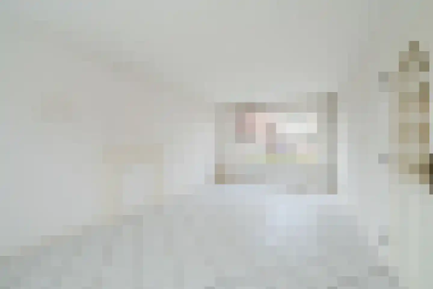Birkenhof 16 Nijkerkerveen thumbnail 4