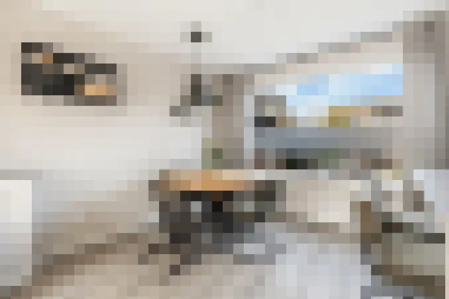 Birkenhof 24 Nijkerkerveen thumbnail 11