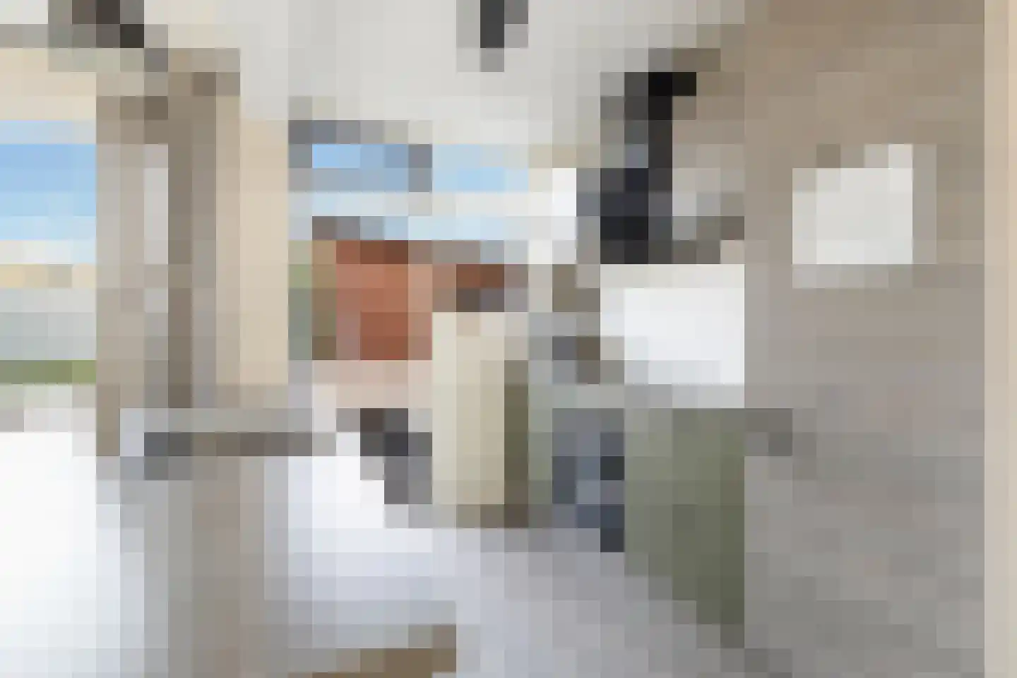 Birkenhof 24 Nijkerkerveen thumbnail 14