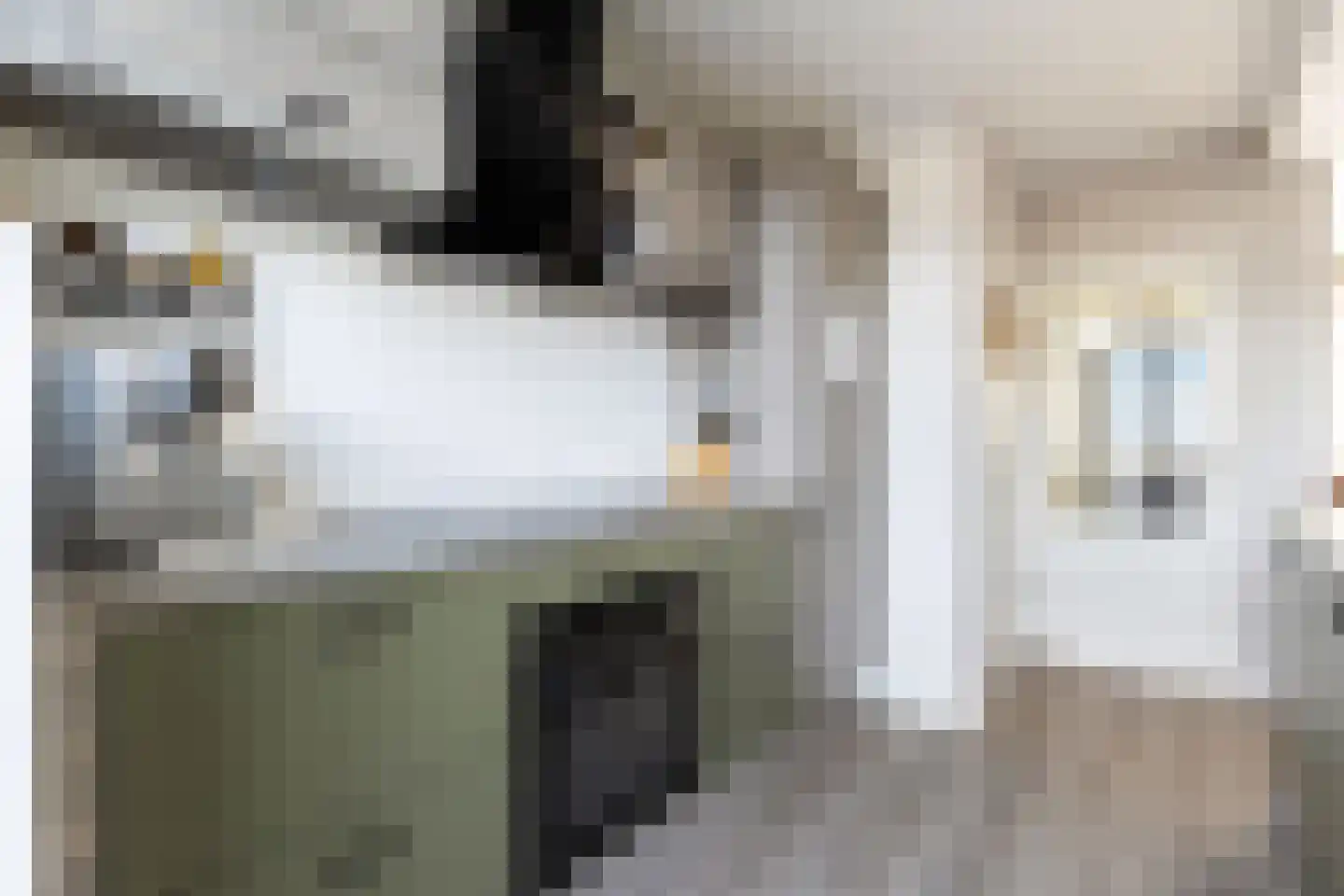 Birkenhof 24 Nijkerkerveen thumbnail 16