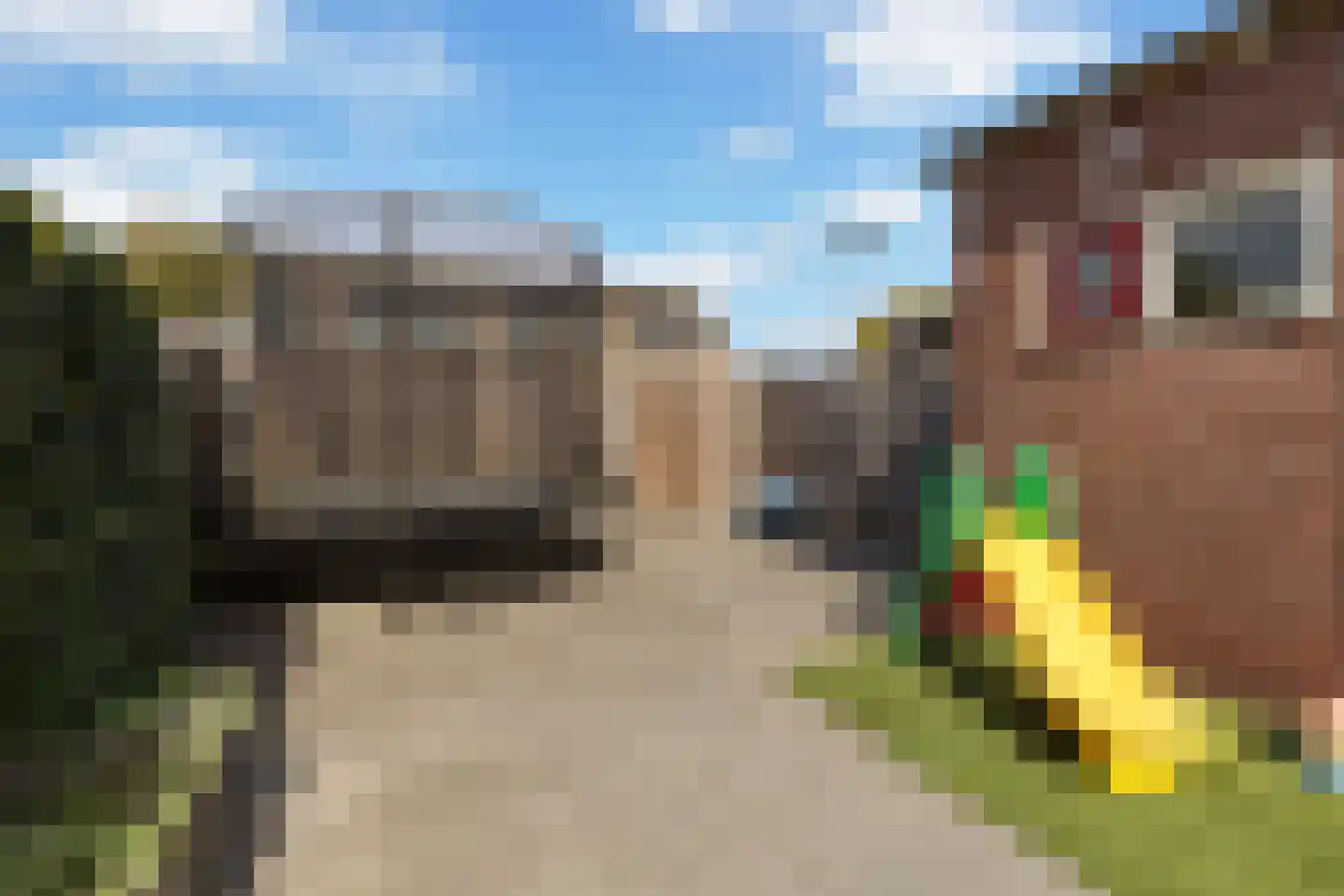 Birkenhof 24 Nijkerkerveen thumbnail 18
