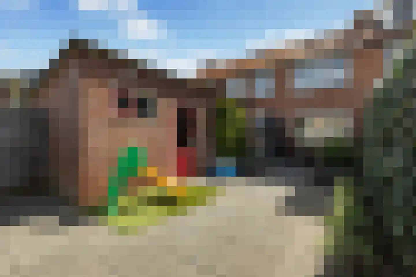 Birkenhof 24 Nijkerkerveen thumbnail 19