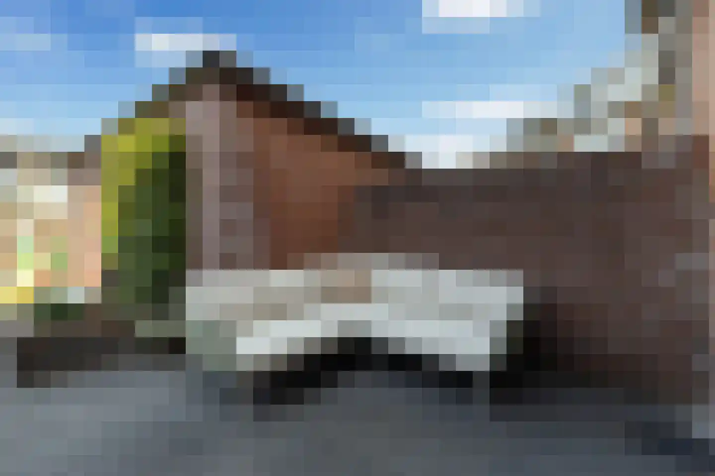 Birkenhof 24 Nijkerkerveen thumbnail 20