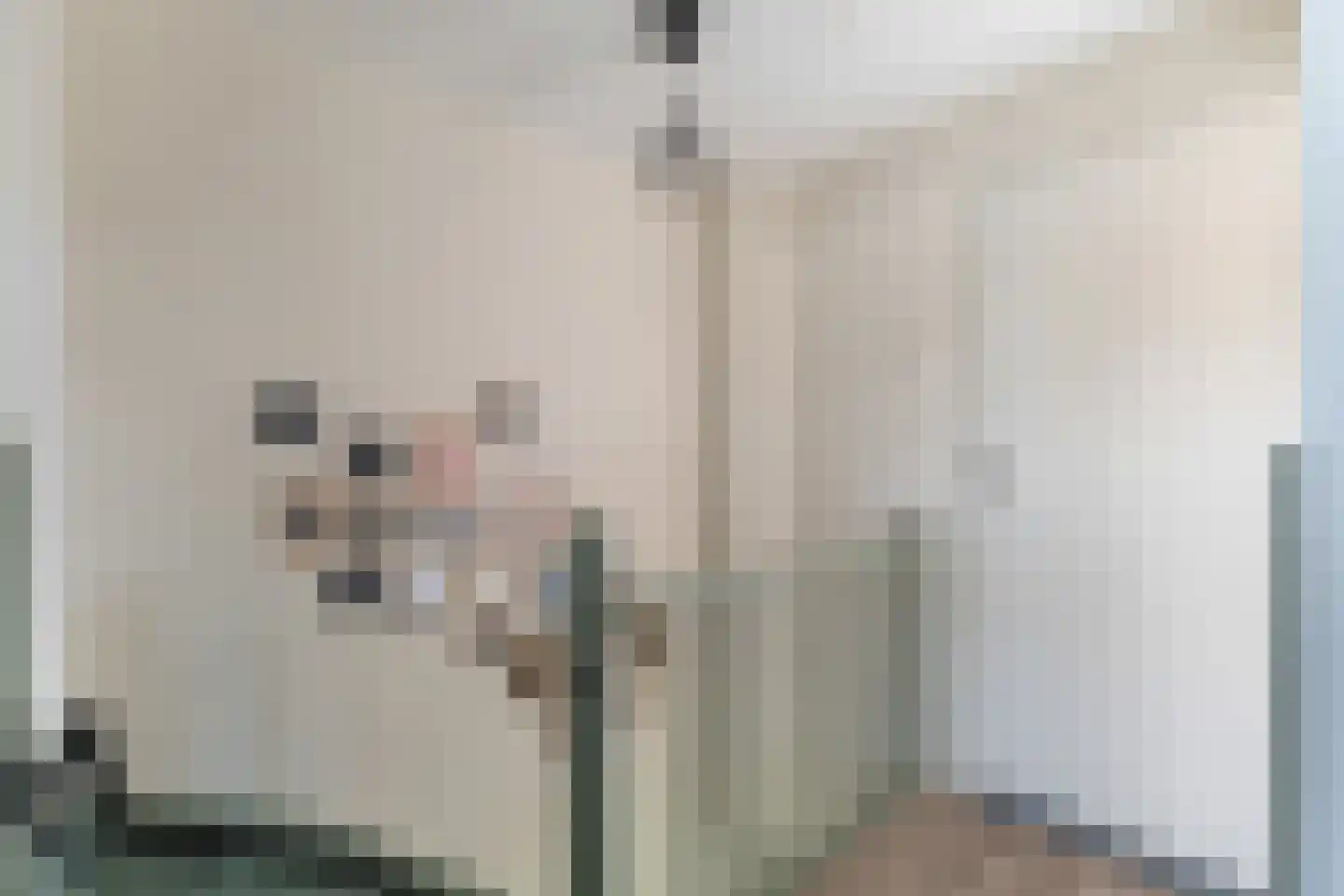 Birkenhof 24 Nijkerkerveen thumbnail 25