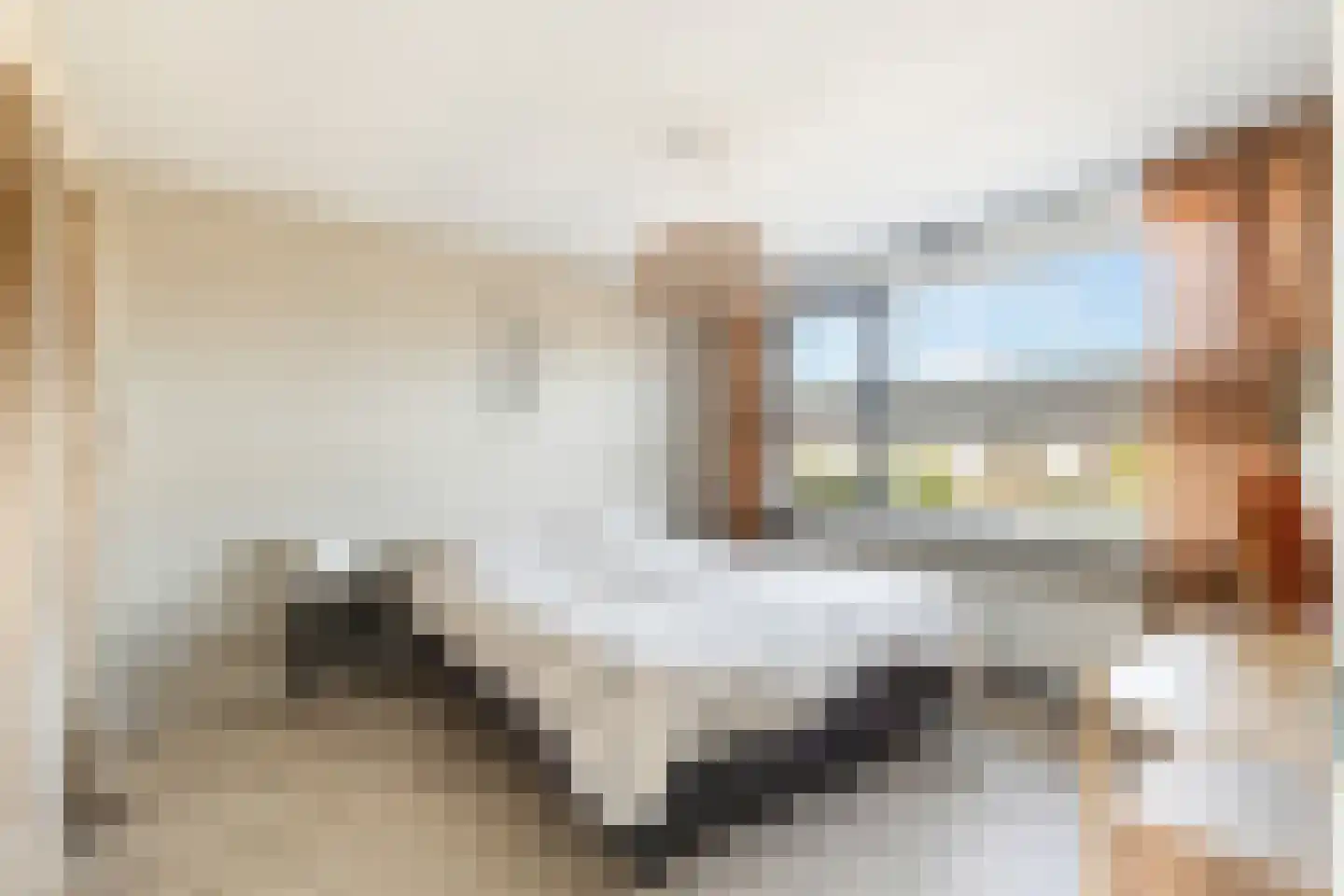 Birkenhof 24 Nijkerkerveen thumbnail 27