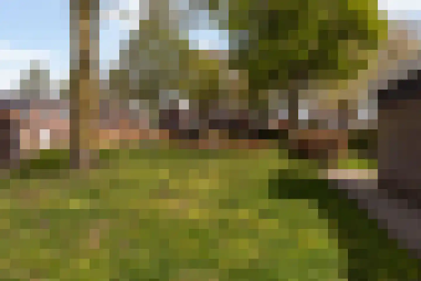 Birkenhof 24 Nijkerkerveen thumbnail 33
