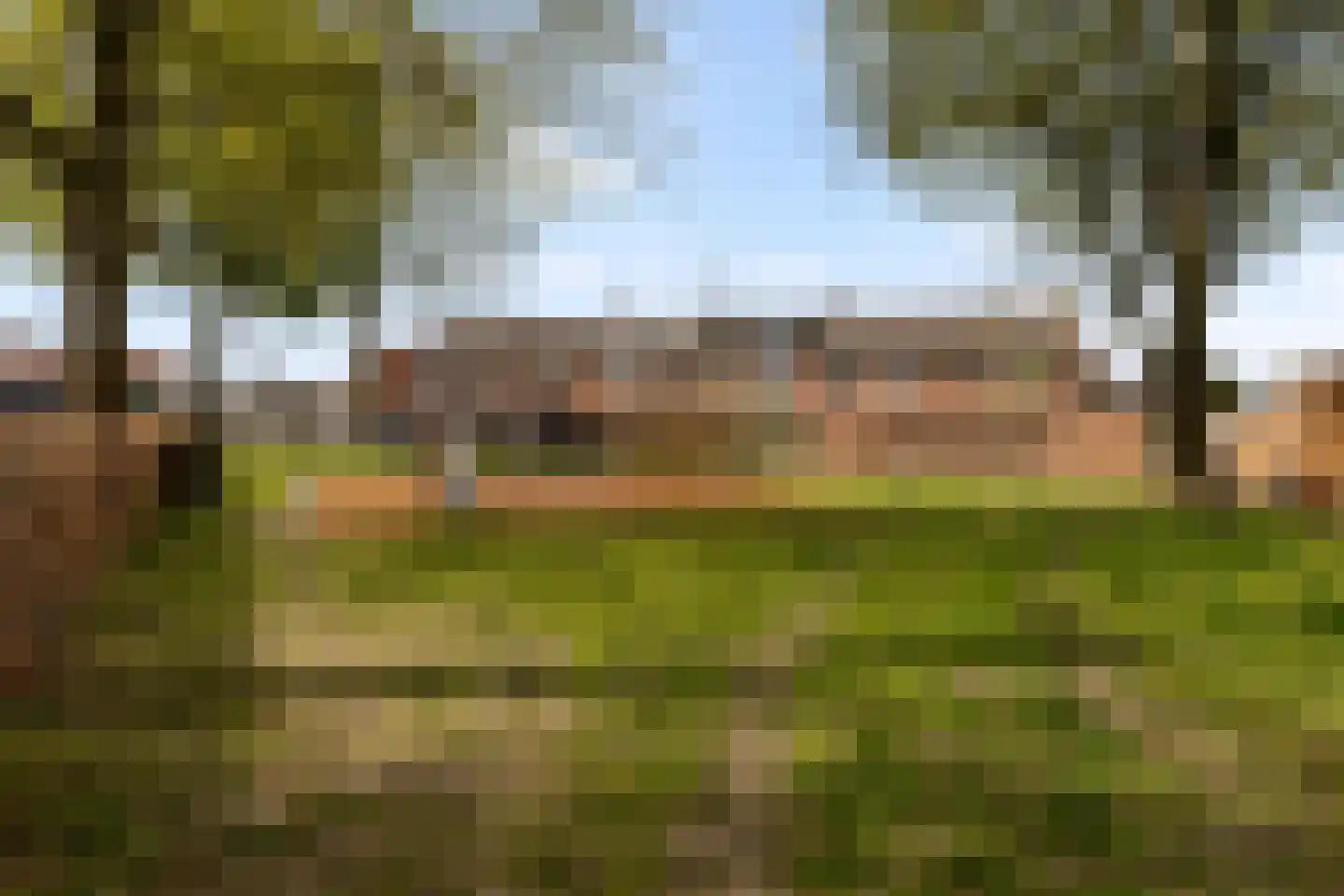Birkenhof 24 Nijkerkerveen thumbnail 34