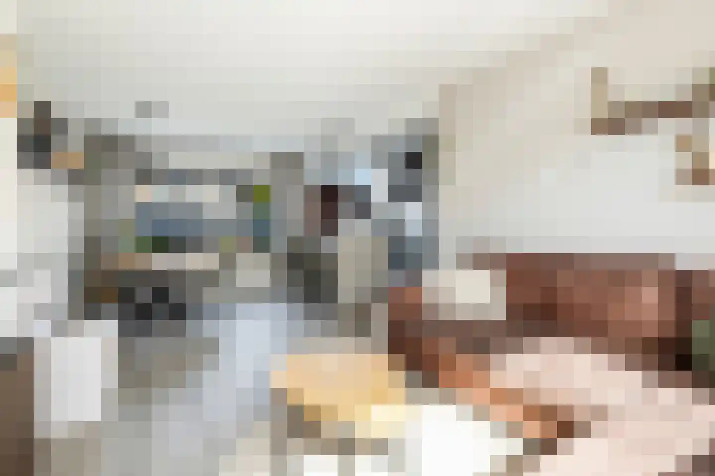 Birkenhof 24 Nijkerkerveen thumbnail 7