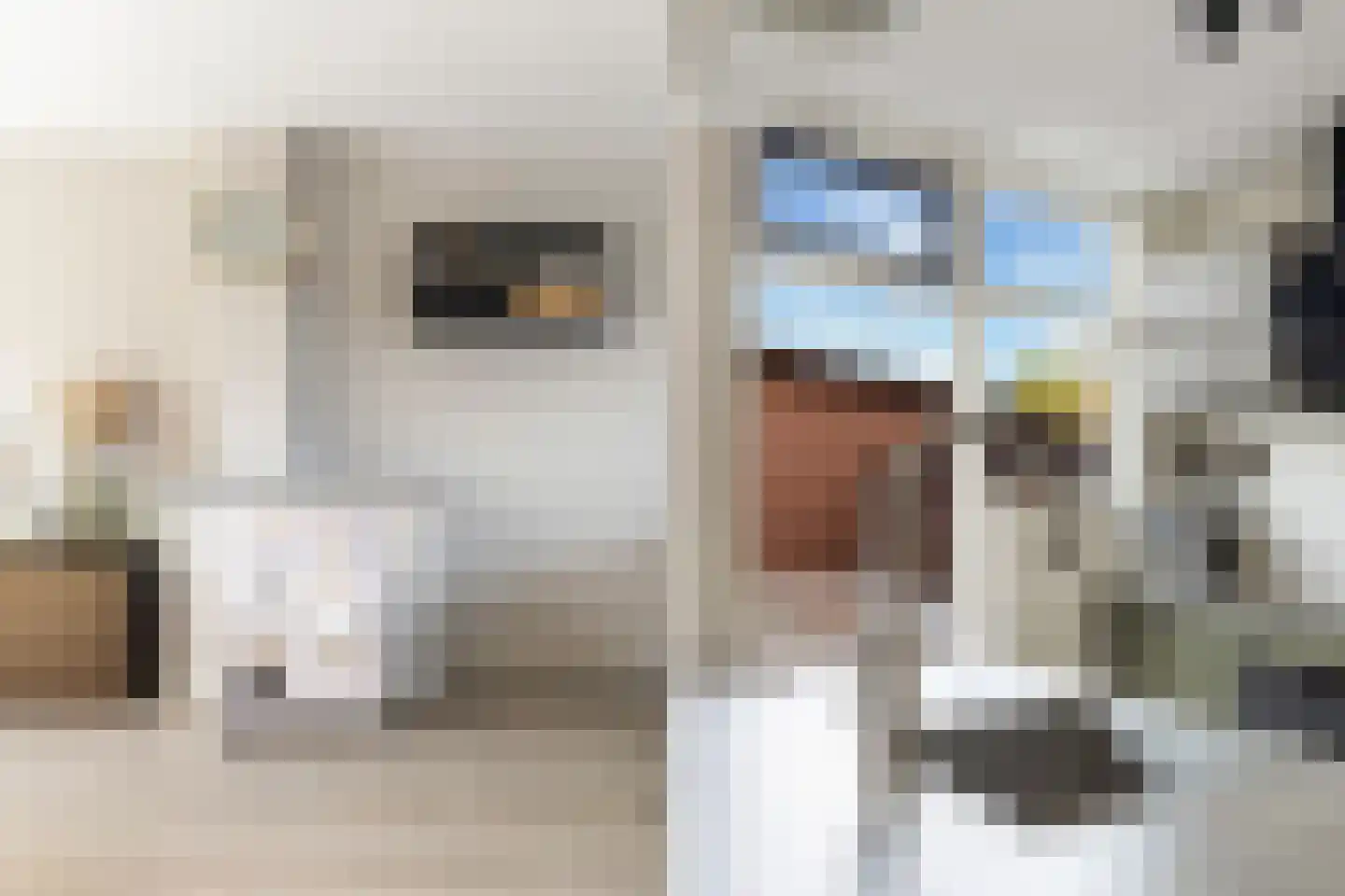 Birkenhof 24 Nijkerkerveen thumbnail 8