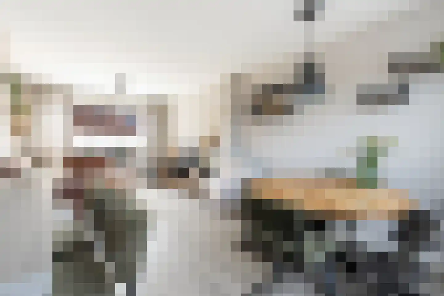 Birkenhof 24 Nijkerkerveen thumbnail 9