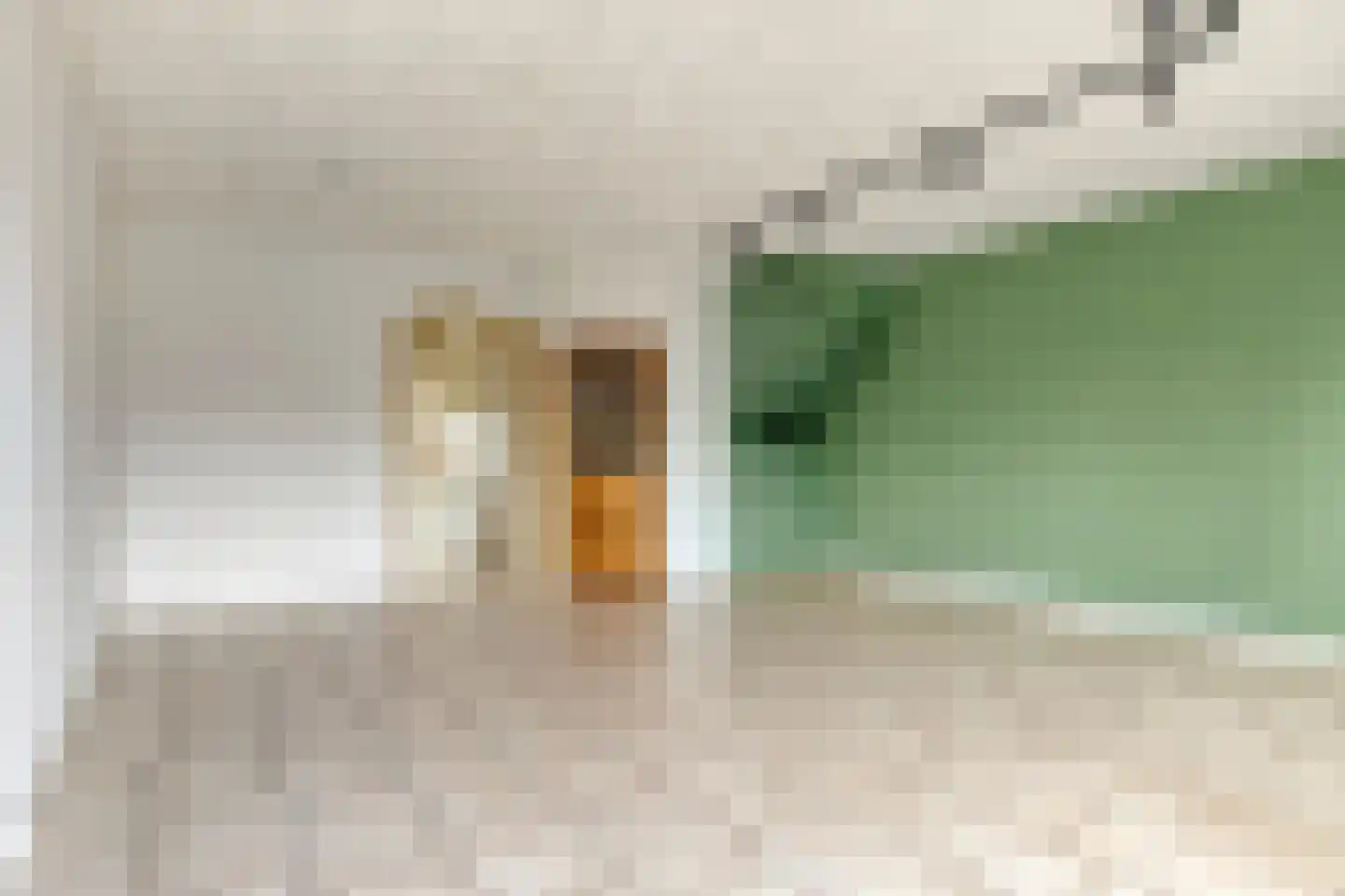 Birkholm 156 Hoofddorp thumbnail 12