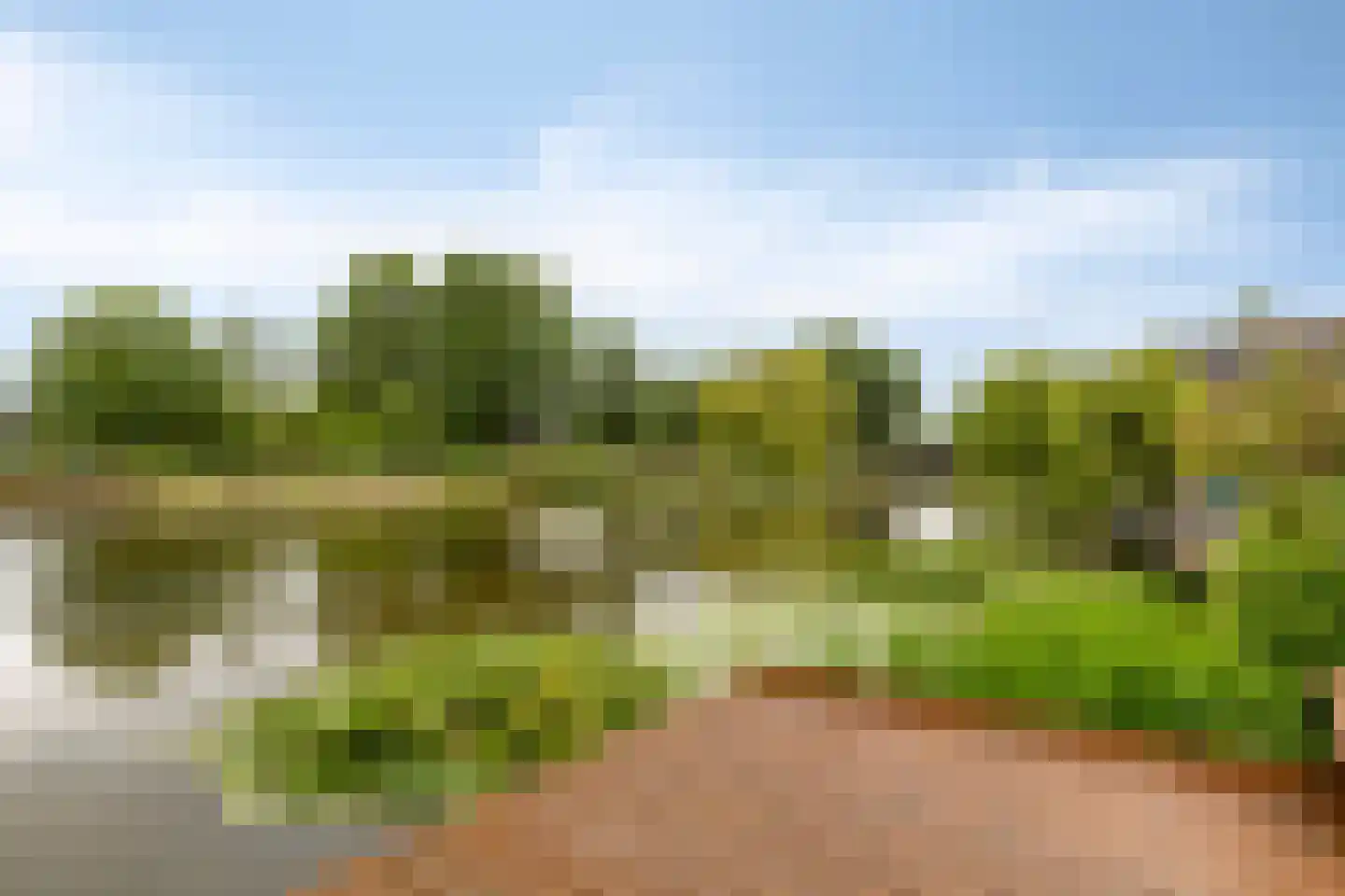 Birkholm 156 Hoofddorp thumbnail 20