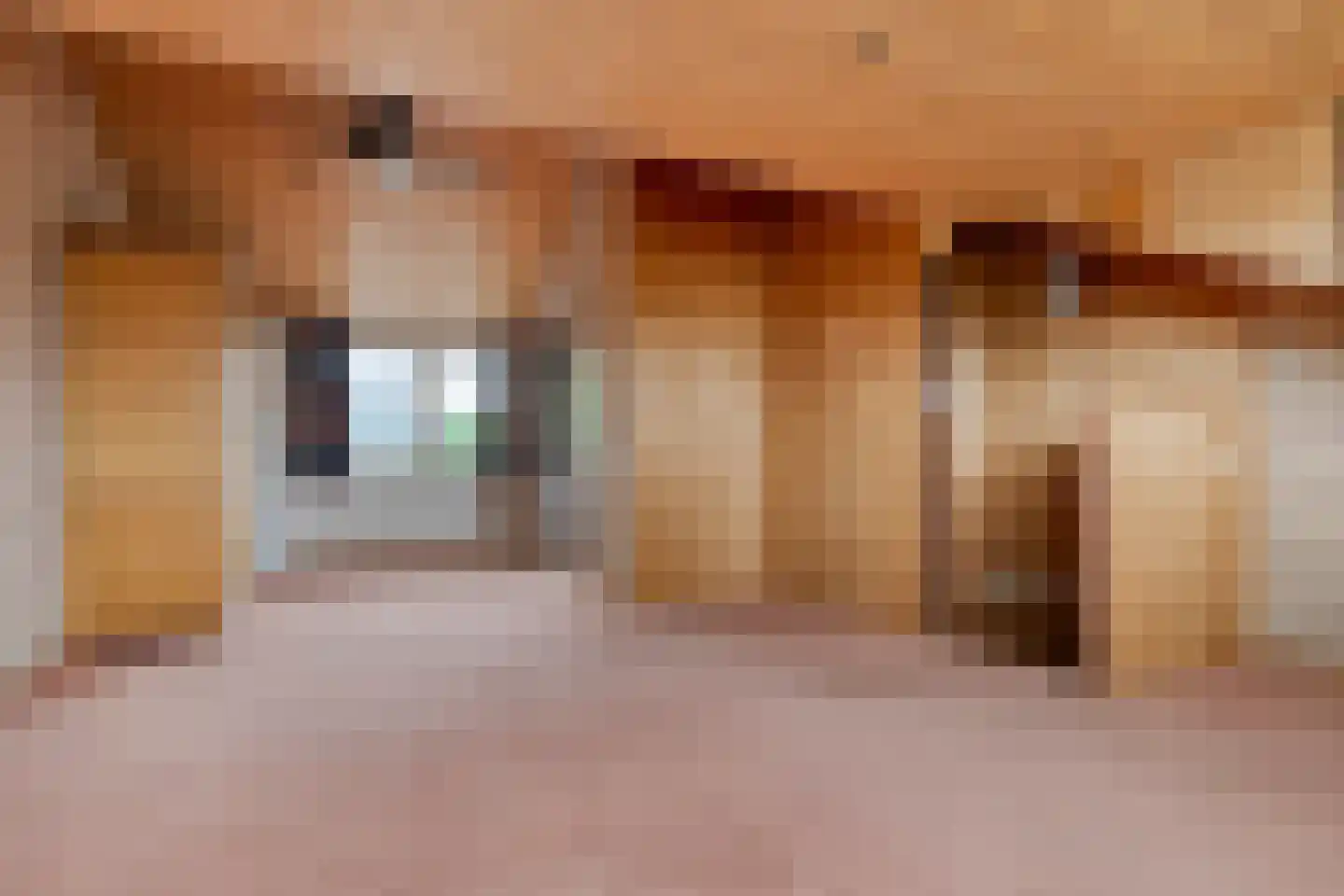 Birkholm 156 Hoofddorp thumbnail 33