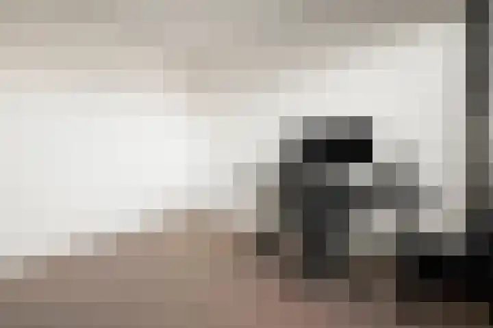 Birkholm 16 Hoofddorp thumbnail 34