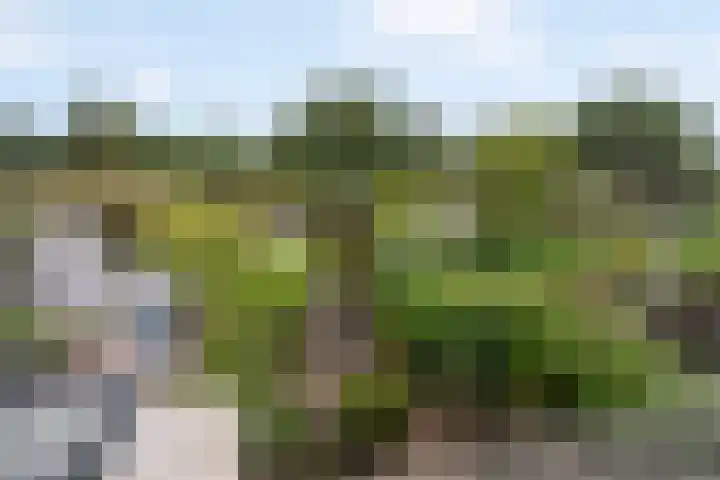 Birkholm 164 Hoofddorp thumbnail 16
