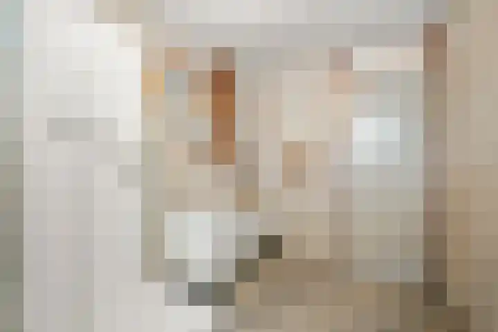 Birkholm 164 Hoofddorp thumbnail 23
