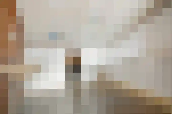 Birkholm 164 Hoofddorp thumbnail 28