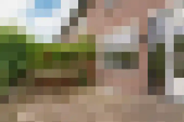 Birkholm 164 Hoofddorp thumbnail 29