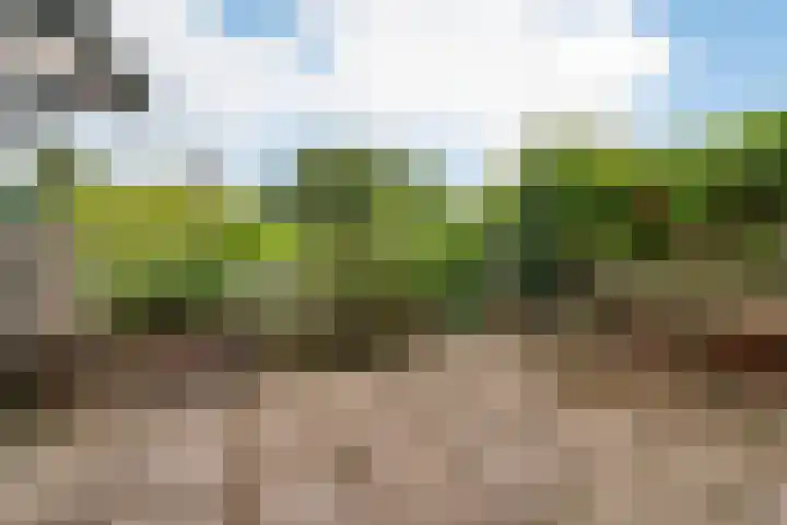 Birkholm 164 Hoofddorp thumbnail 30