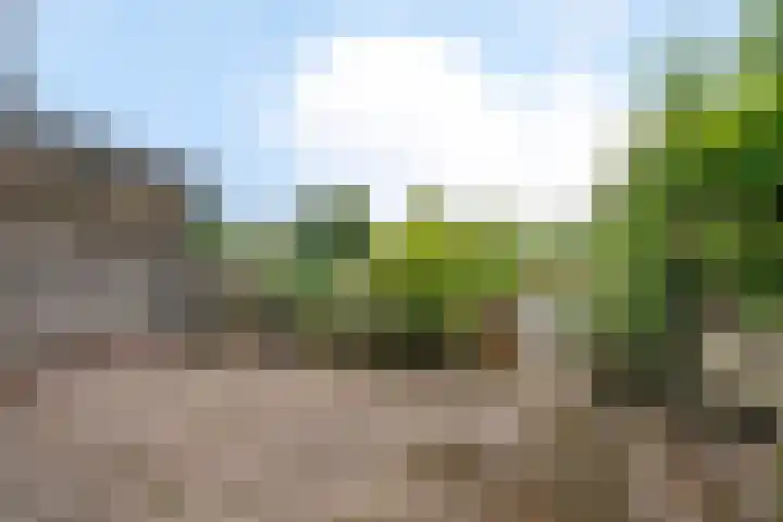Birkholm 164 Hoofddorp thumbnail 31
