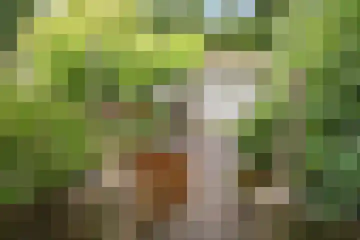 Birkholm 164 Hoofddorp thumbnail 33